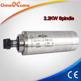 2.2KW Spindle Motor Water Cooled 80mm ER20 220V 2200W CNC Spindle for CNC Router Engraver Machine With 4 x Bearings